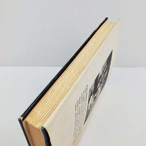 Star Fox by Poul Anderson Book Club Edition BCE Sci-Fi Hardcover Vintage 1965 - Picture 9 of 11